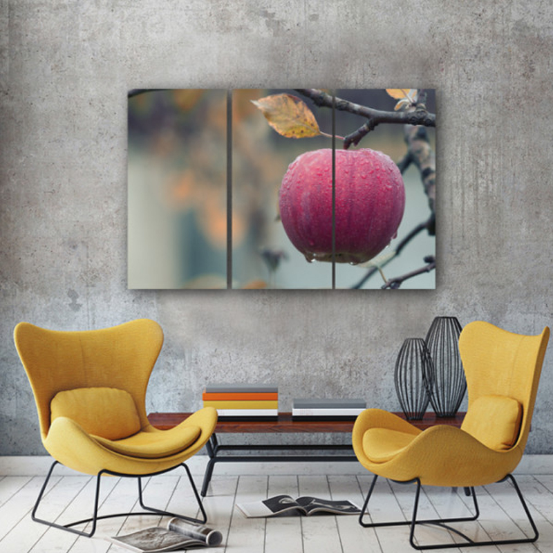 Τρίπτυχος πίνακας σε καμβά με Μήλο